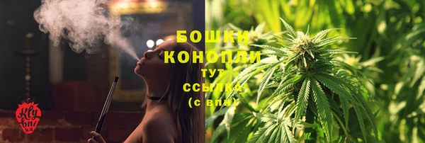 крисы Белокуриха